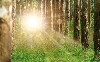 Neobjašnjivi događaji koji su zbunjivali znanstvenike